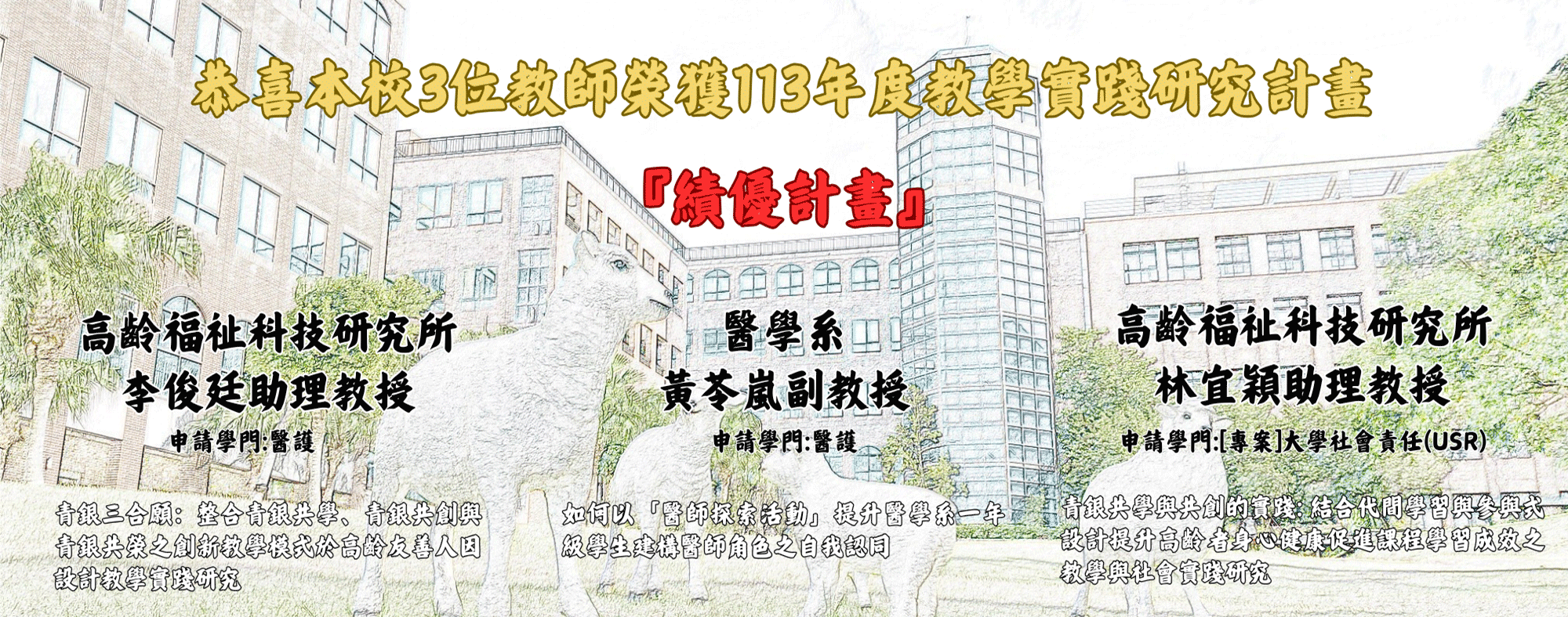 113年度績優計畫名單